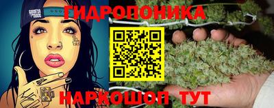 индика Ипатово