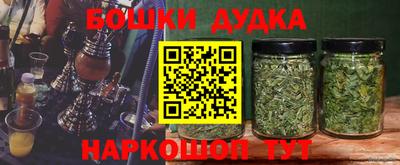 индика Ирбит