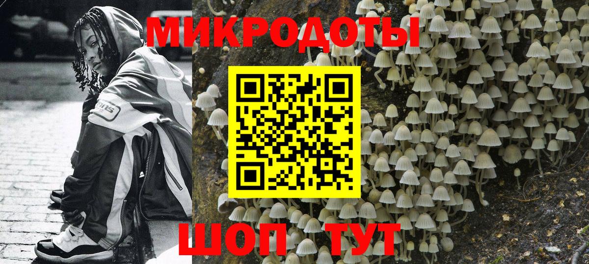 Псилоцибиновые грибы мухоморы Лениногорск