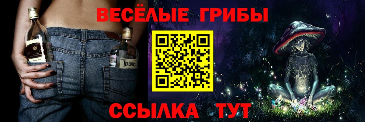 где купить наркотик  Псилоцибиновые грибы мухоморы  Вход с VPN  Псилоцибиновые грибы прущие грибы  Лениногорск 